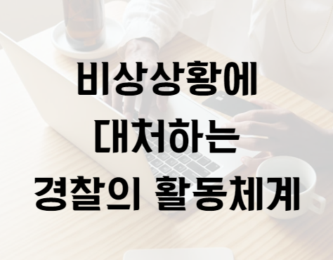 갑호비상, 비상상황에 대처하는 경찰의 활동체계, 경찰비상업무 갑호비상, 비상상황에 대처하는 경찰의 활동체계, 경찰비상업무